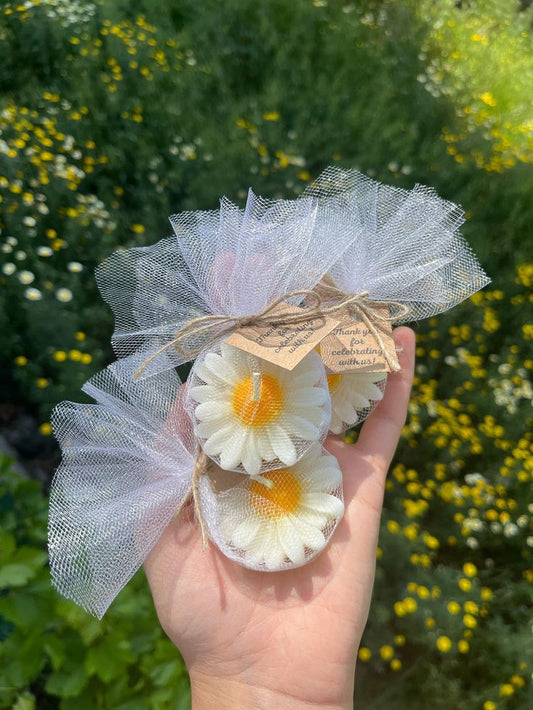 Scented Daisy Flower Candles | Multiple Colours | Pack of 2,4,8,12 | Perfect for Gifting and Decoration