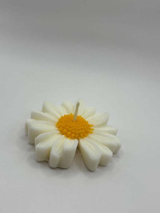 Scented Candle Duo – Big Bubble + Daisy Flower | Aesthetic Gift & Home Decor Combo