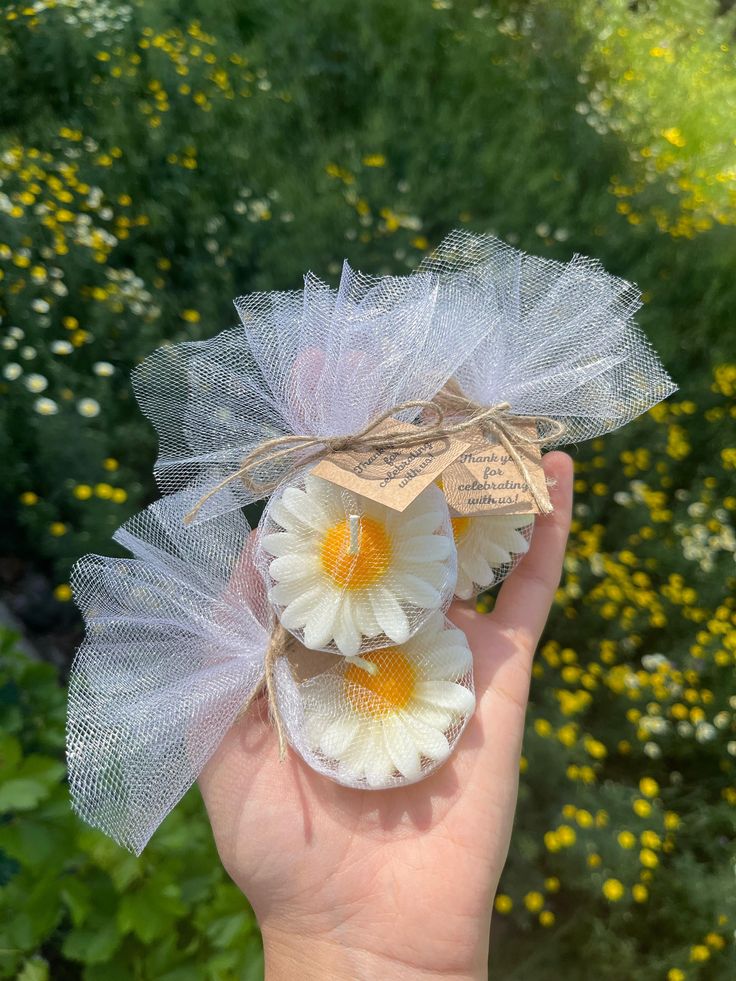 Scented Daisy Flower Candles | Multiple Colours | Pack of 2,4,8,12 | Perfect for Gifting and Decoration