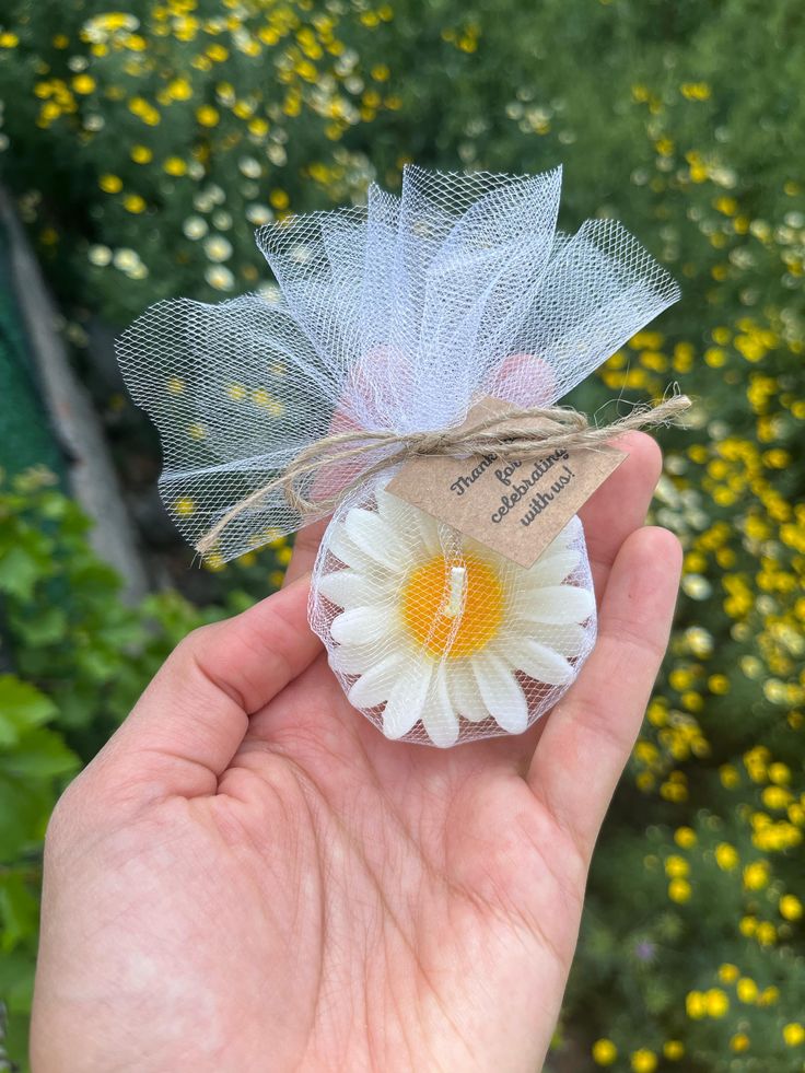 Premium Scented Daisy Flower Candles For Gifting | Wedding Gifts | Birthday | Bokeh Candle | Lollipop Candle | Net packed Candles